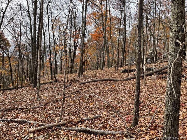 Property Photo:  208 State Route 37  CT 06812 