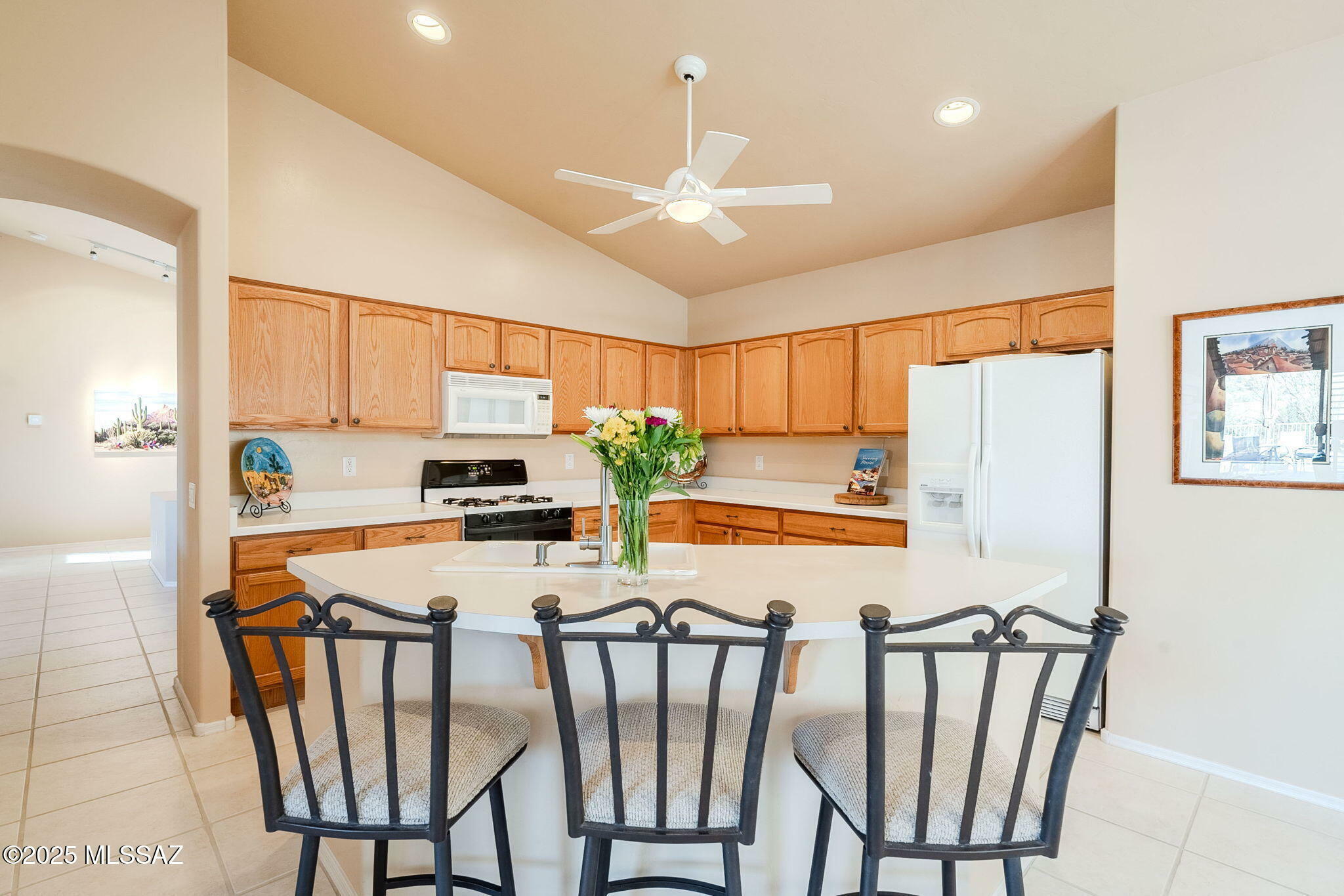 Property Photo:  36588 S Stoney Flower Drive  AZ 85739 