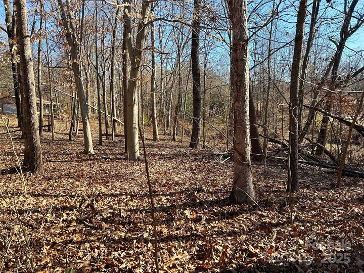 Property Photo:  00 Walker Branch Road  NC 28092 