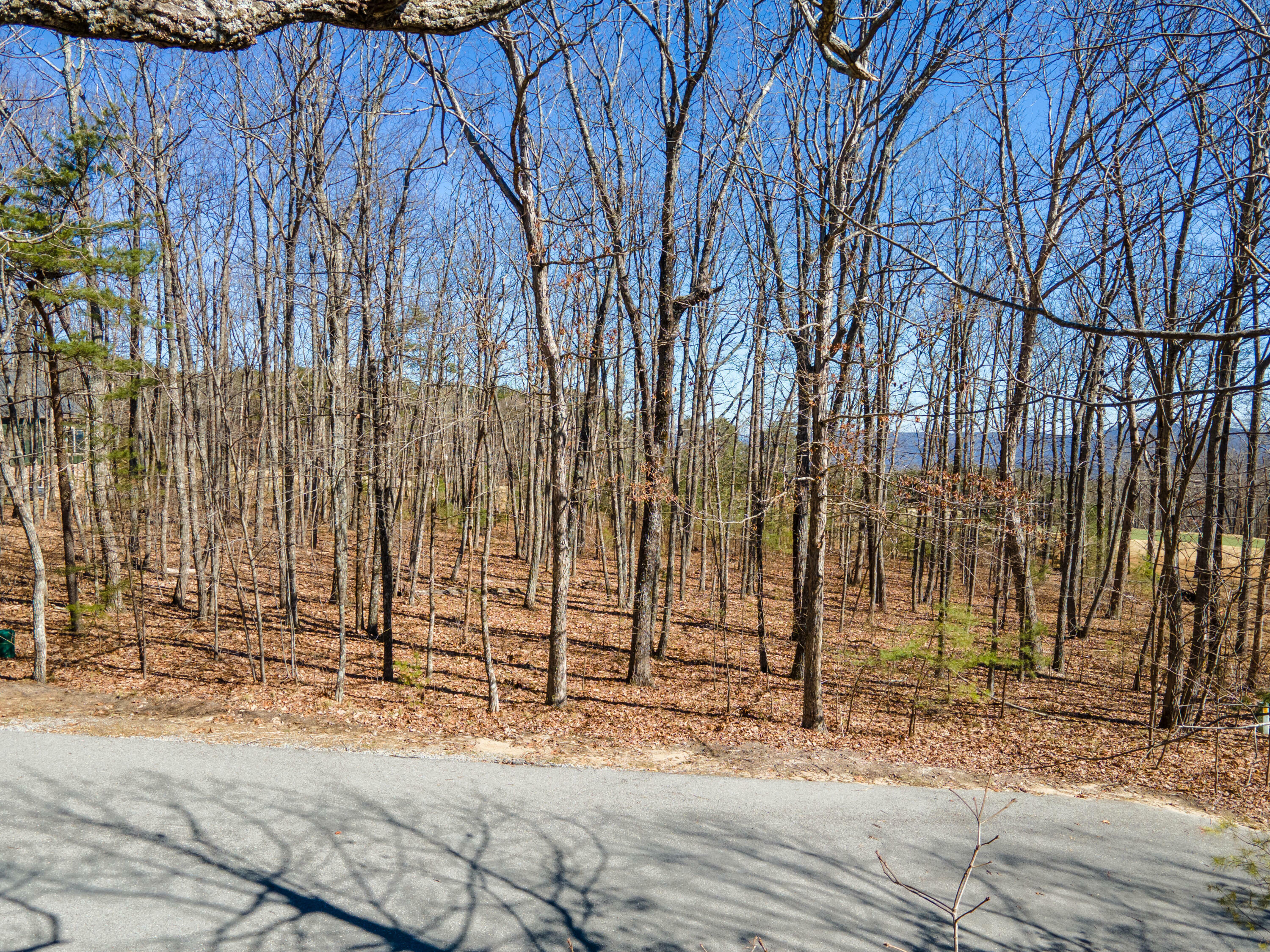 Property Photo:  Lt 9 F Arrow Ranch Road  GA 30738 