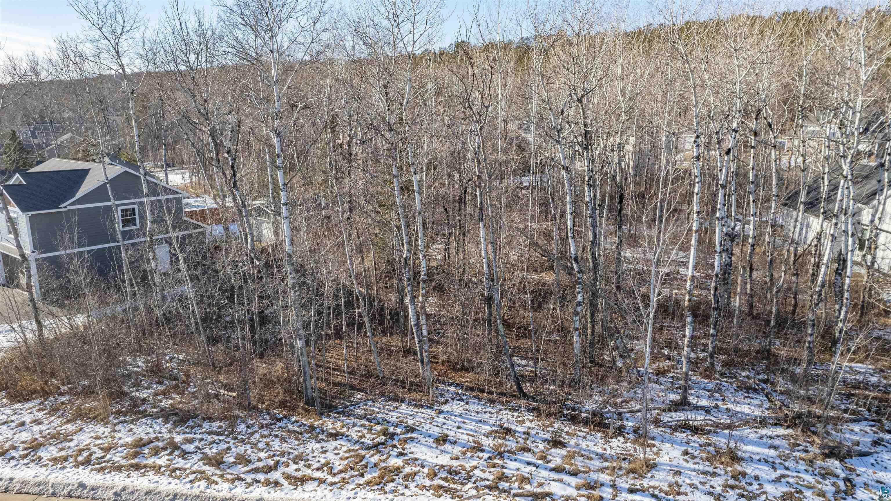 Property Photo:  Tbd Bald Eagle Tr  MN 55804 