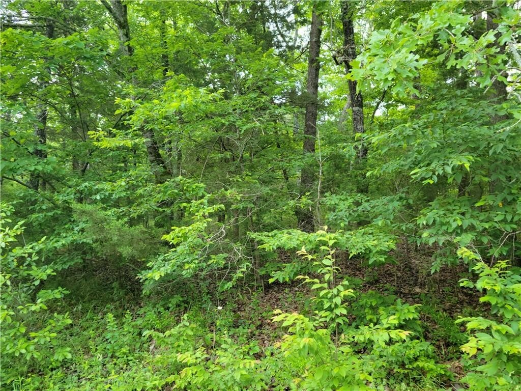 Property Photo:  100 Stateline Drive  AR 72631 