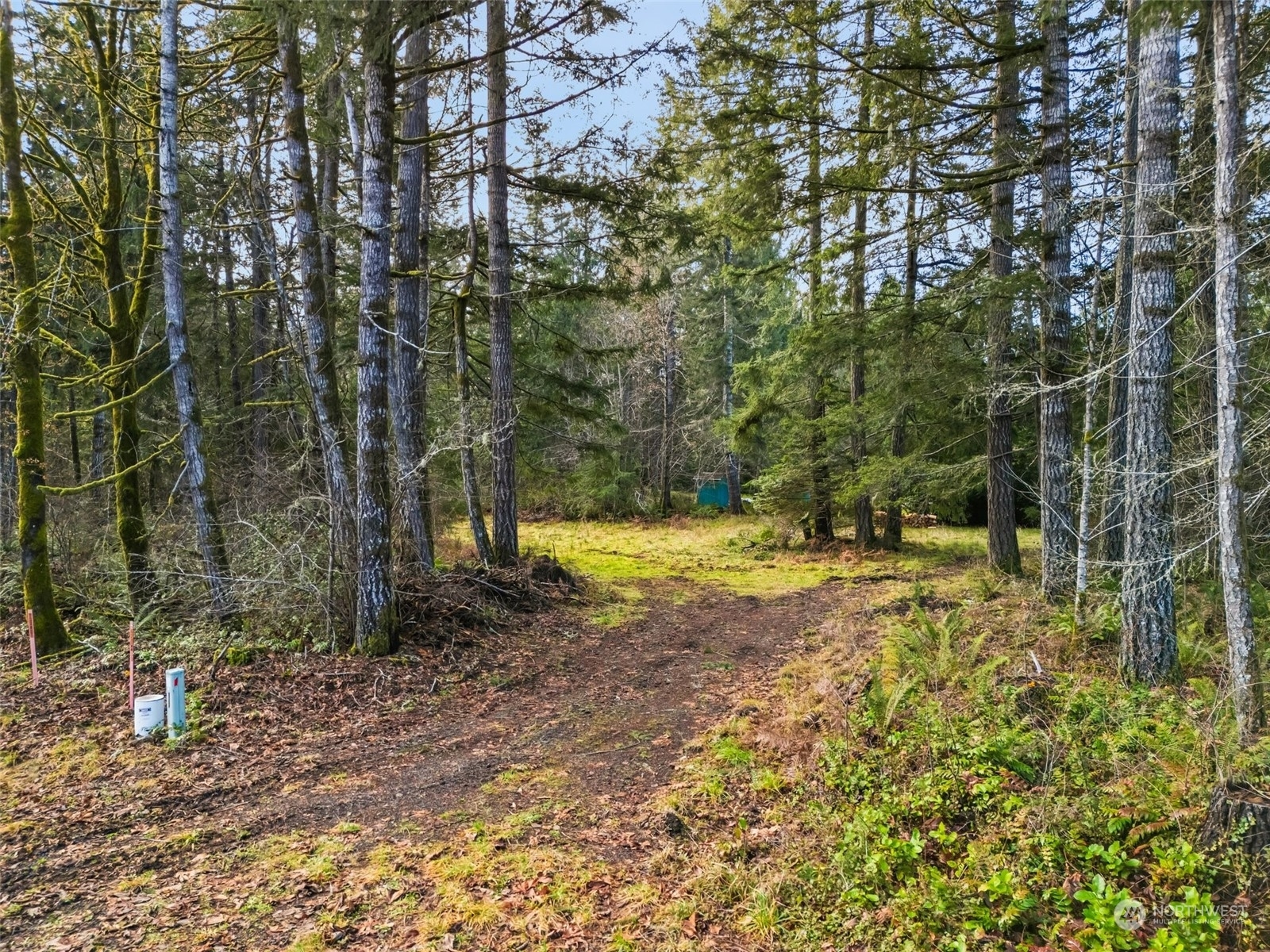 Property Photo:  0 Lot B SE Iamret Lane  WA 98584 