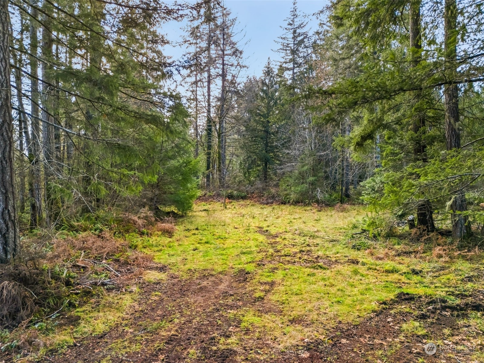 Property Photo:  0 Lot B SE Iamret Lane  WA 98584 