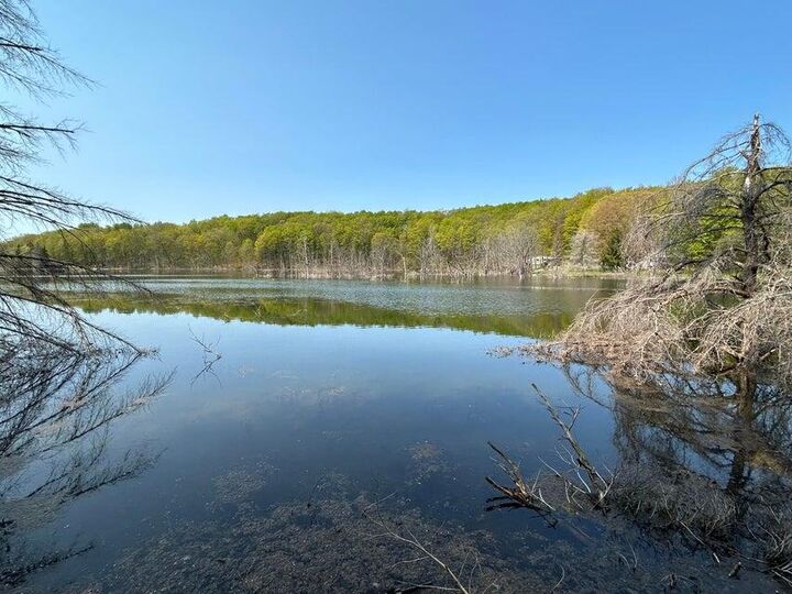 Property Photo: Unit 2 Lakeview Drive MI 49735
