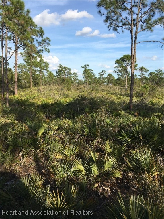 Property Photo:  10804 Bending Oak Drive  FL 33875 