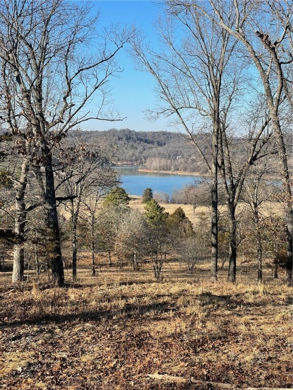 Property Photo:  14696 Hwy 311 N Road  AR 72638 