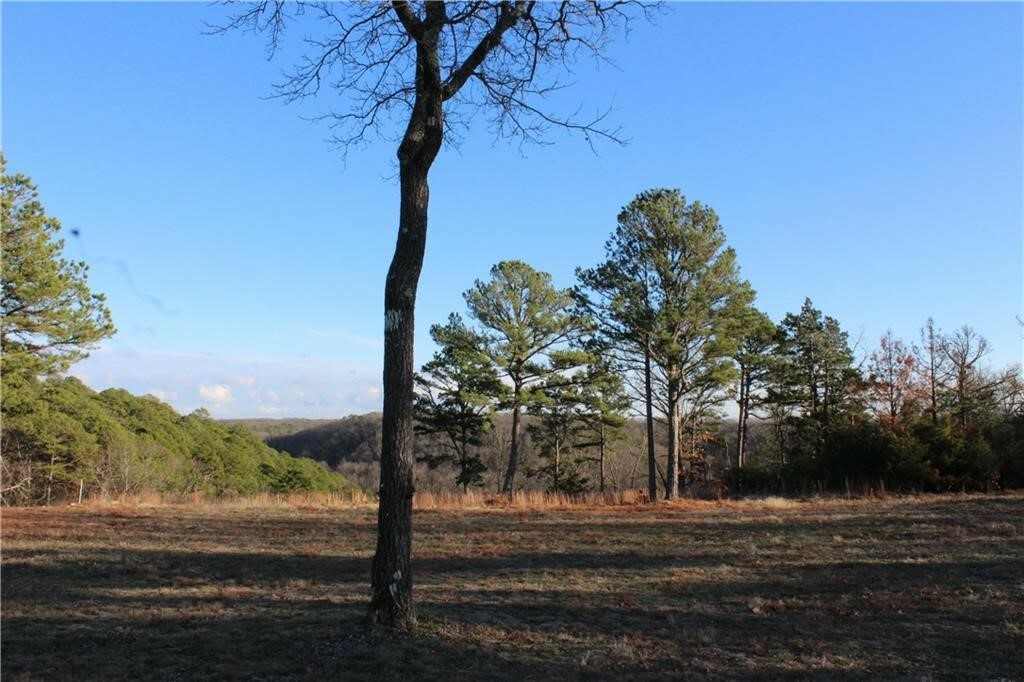 Property Photo:  26 Park Drive  AR 72631 