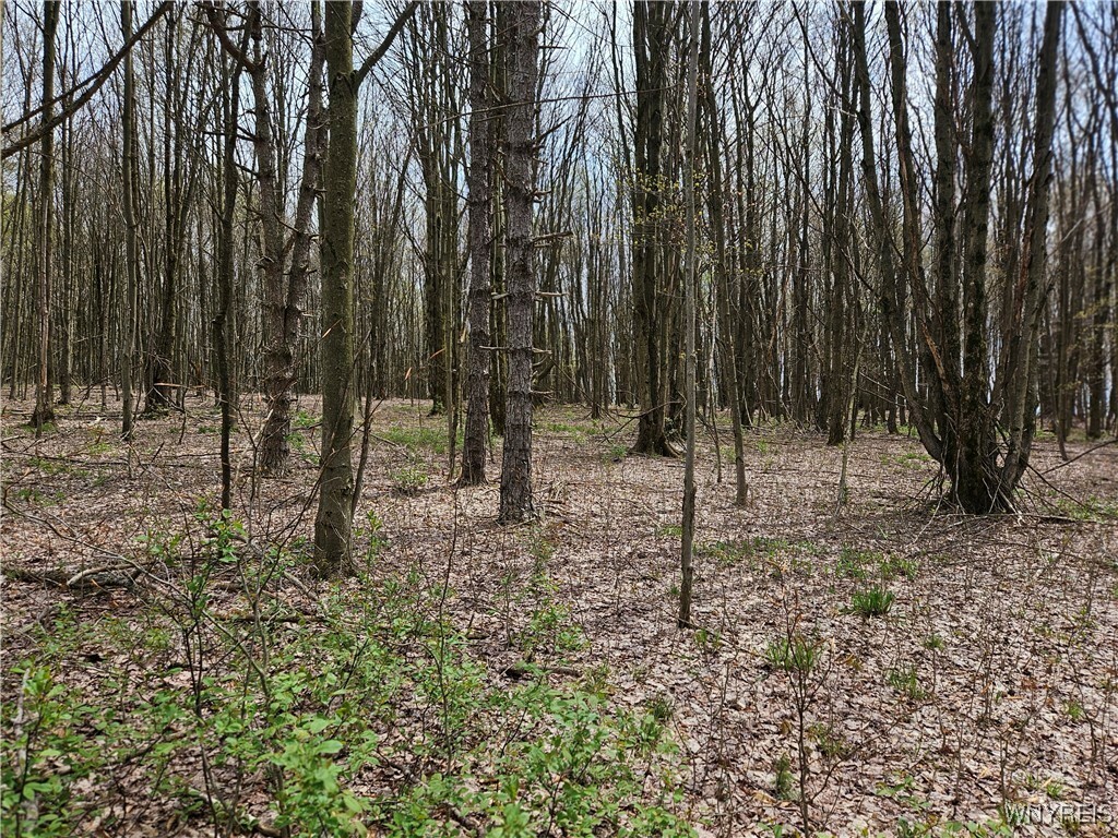 Property Photo: 12 Trail Heights NY 14731