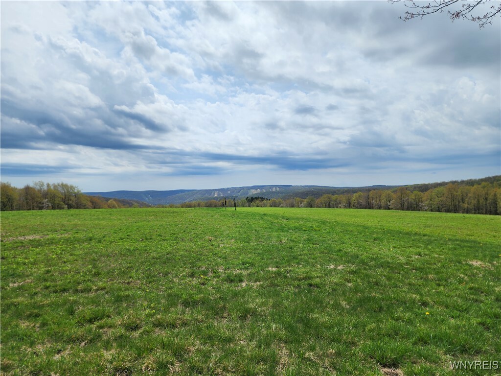 Property Photo: 11 Trail Heights NY 14731