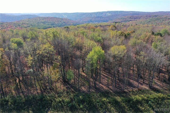 Property Photo: 11 Trail Heights NY 14731