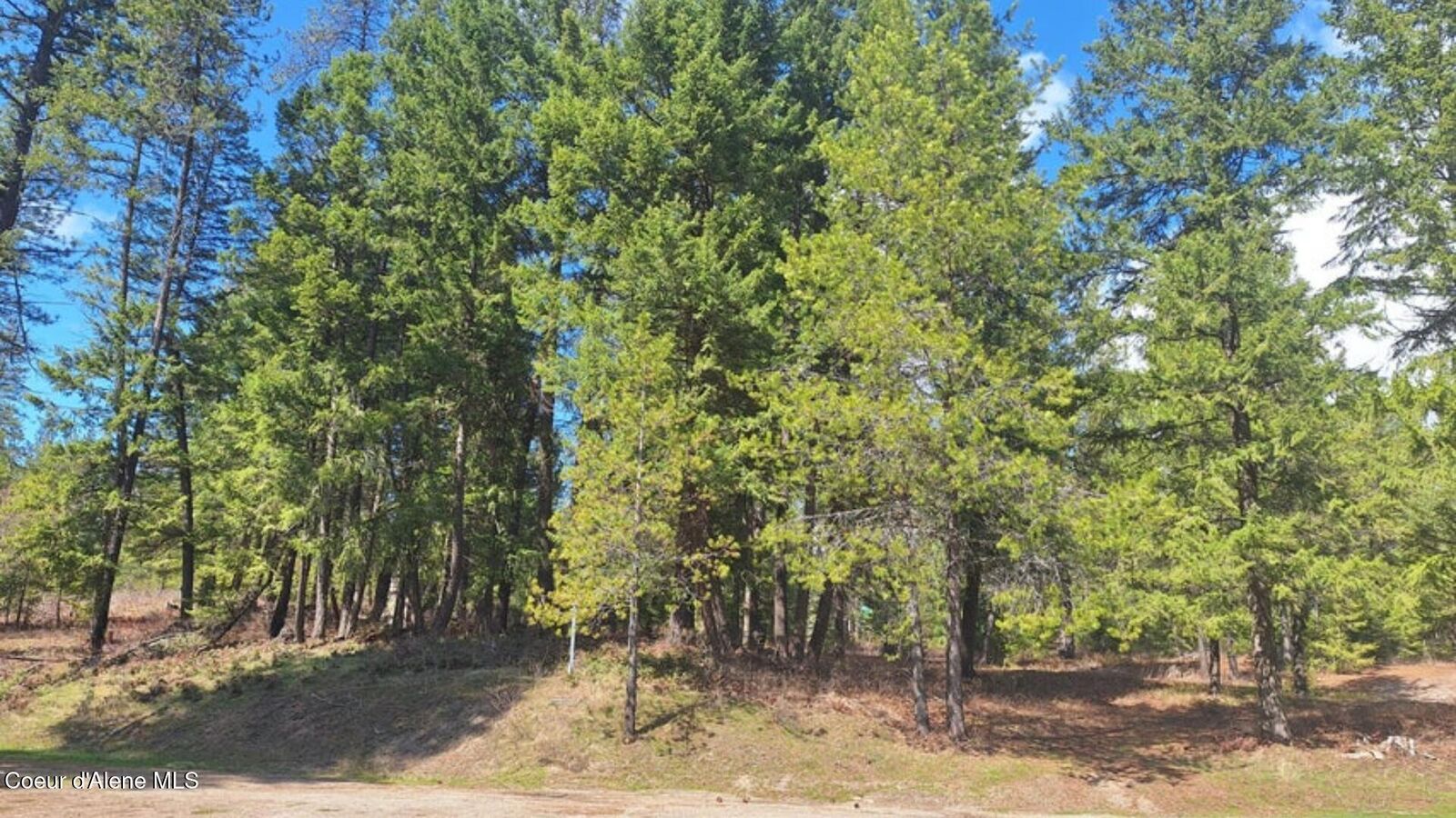 Property Photo:  Nna Parkland Dr  ID 83804