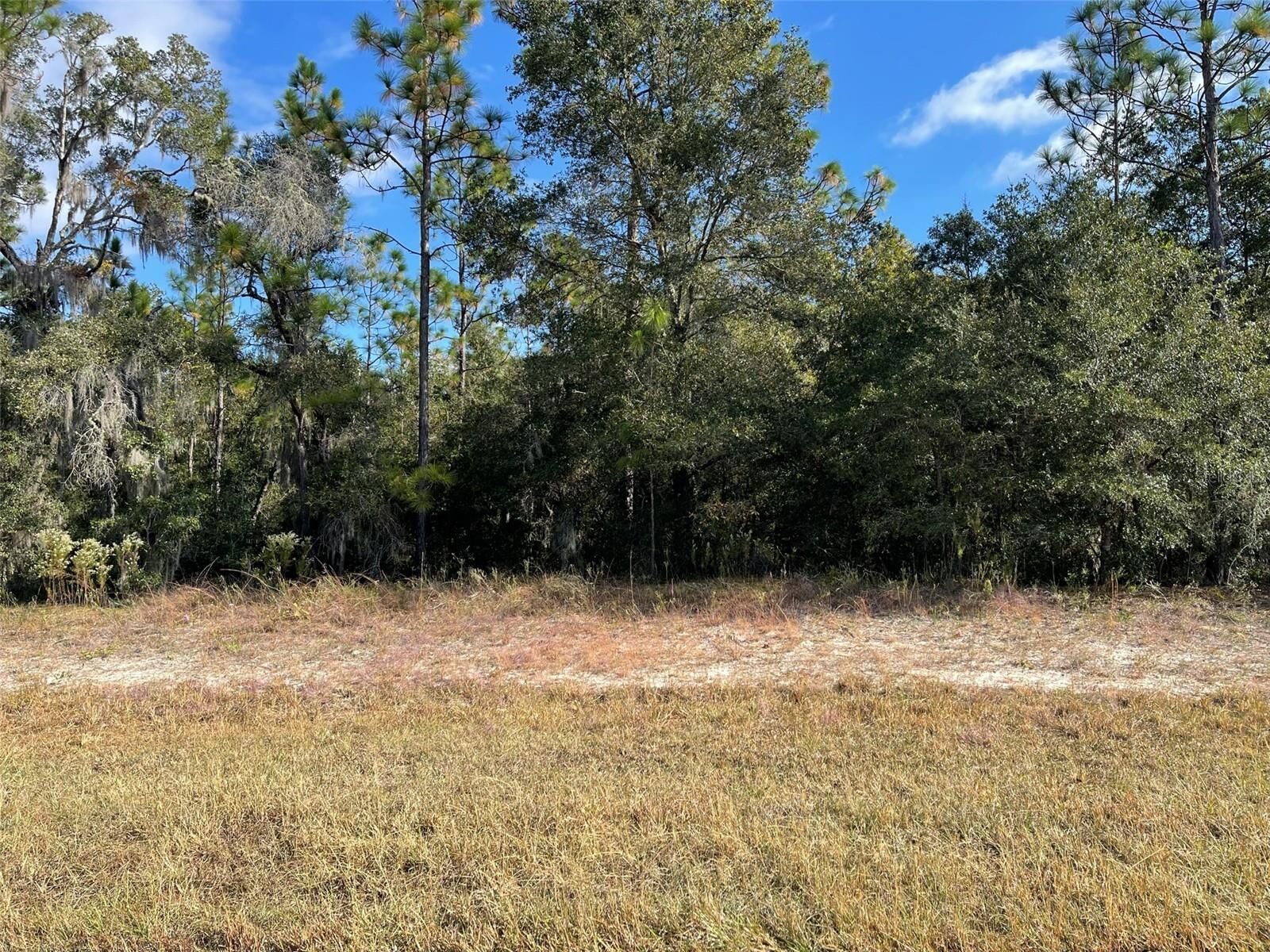 Property Photo: Lot 44 SW 102nd Street Road FL 34431