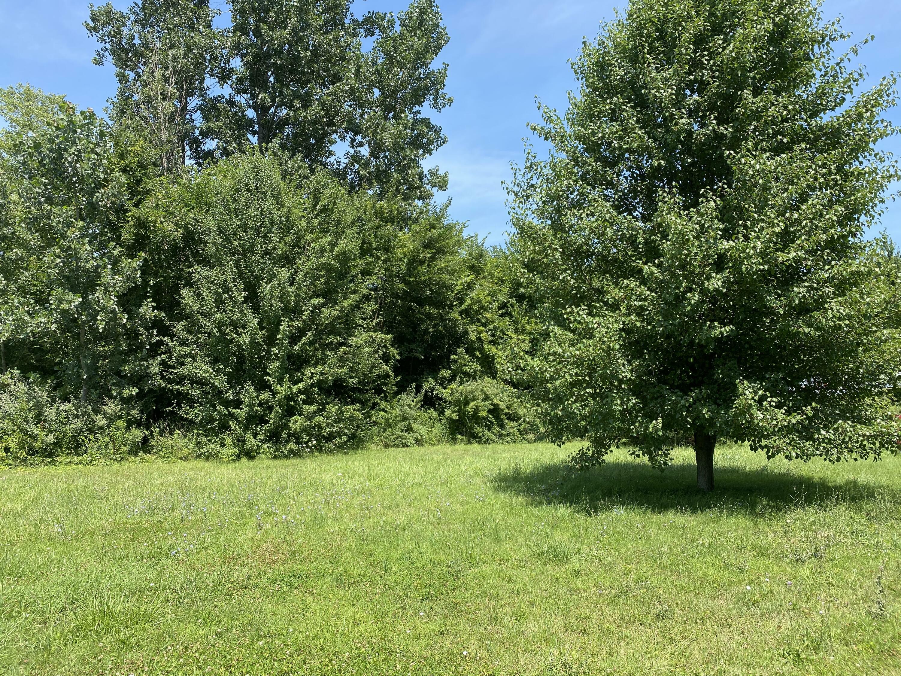 Property Photo:  3859 Bacon School Road  MI 49085 