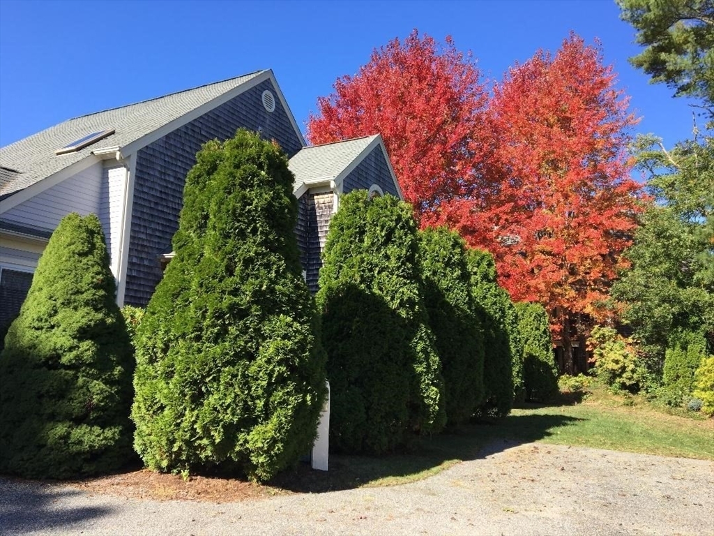 Property Photo:  75 Blue Spruce Way 75  MA 02649 