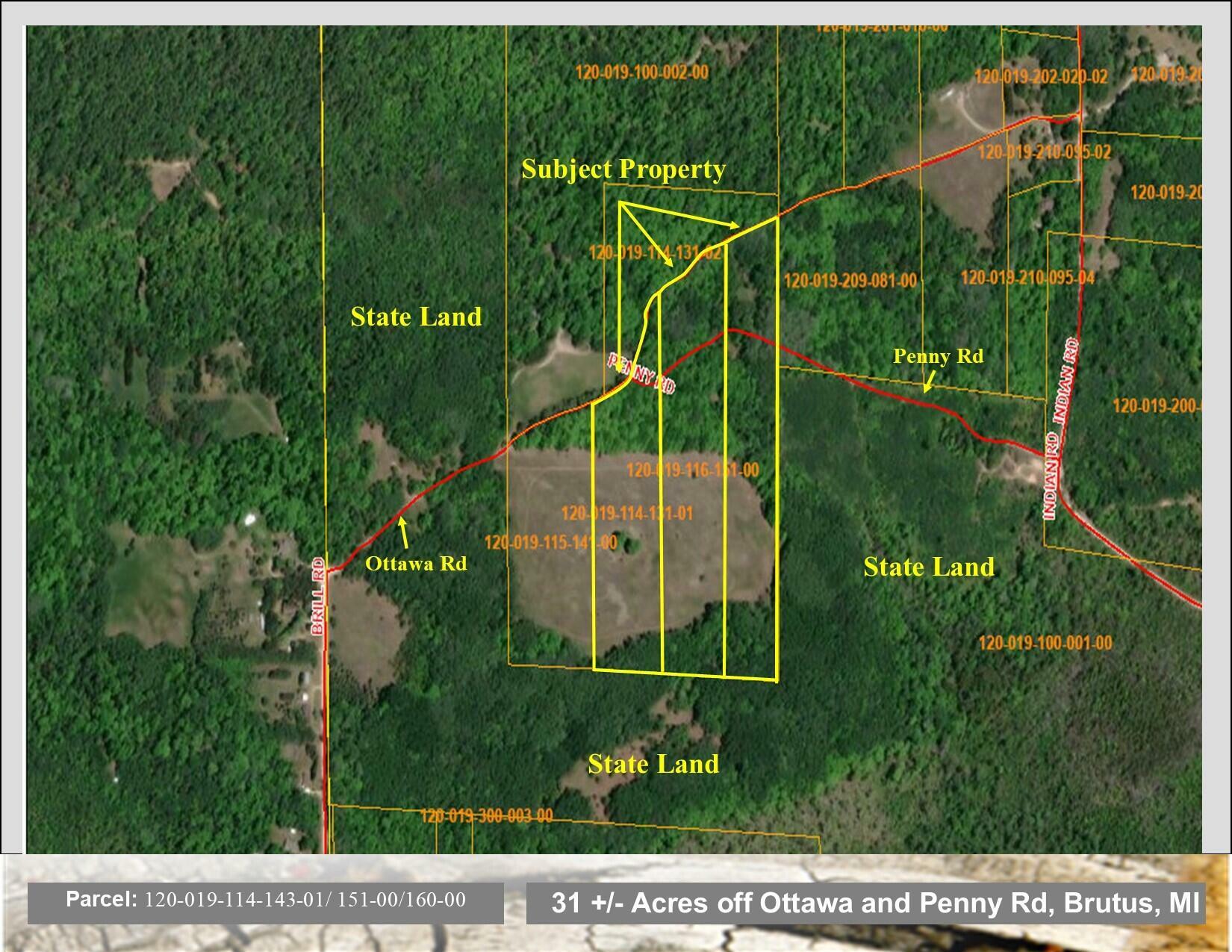 Property Photo: Off Ottawa &Amp Penny Road MI 49716