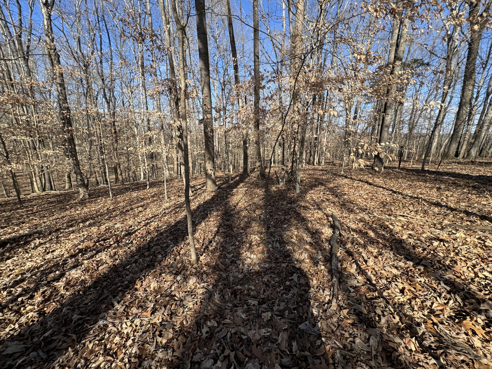 Property Photo:  0 Cumberland City Rd  TN 37050 