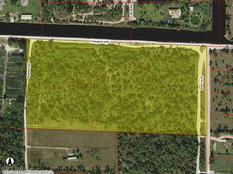 Frangipani Avenue  Naples FL 34117 photo