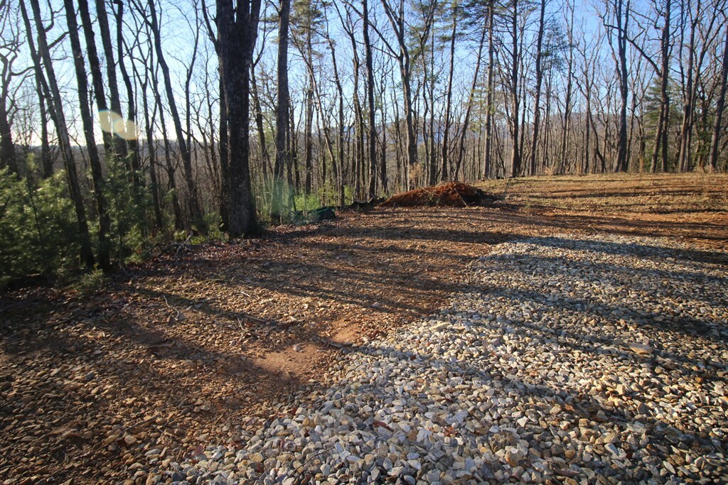 Property Photo:  Lot 10 Johnston Road  GA 30513 