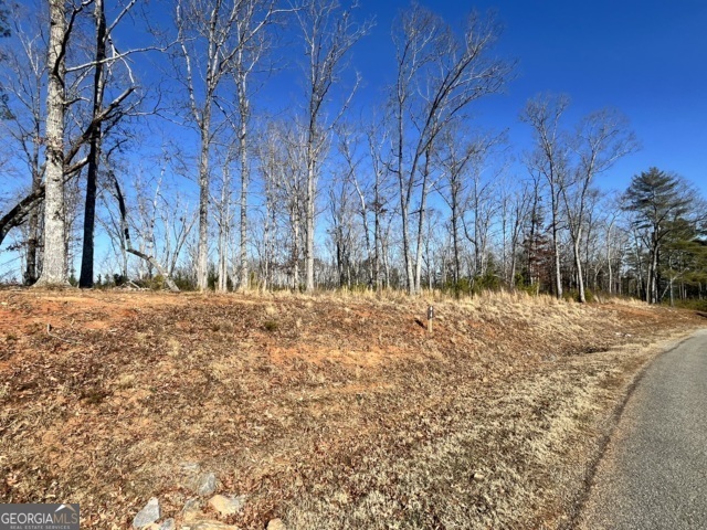 Property Photo:  Lot 4 High River Road  GA 30540 