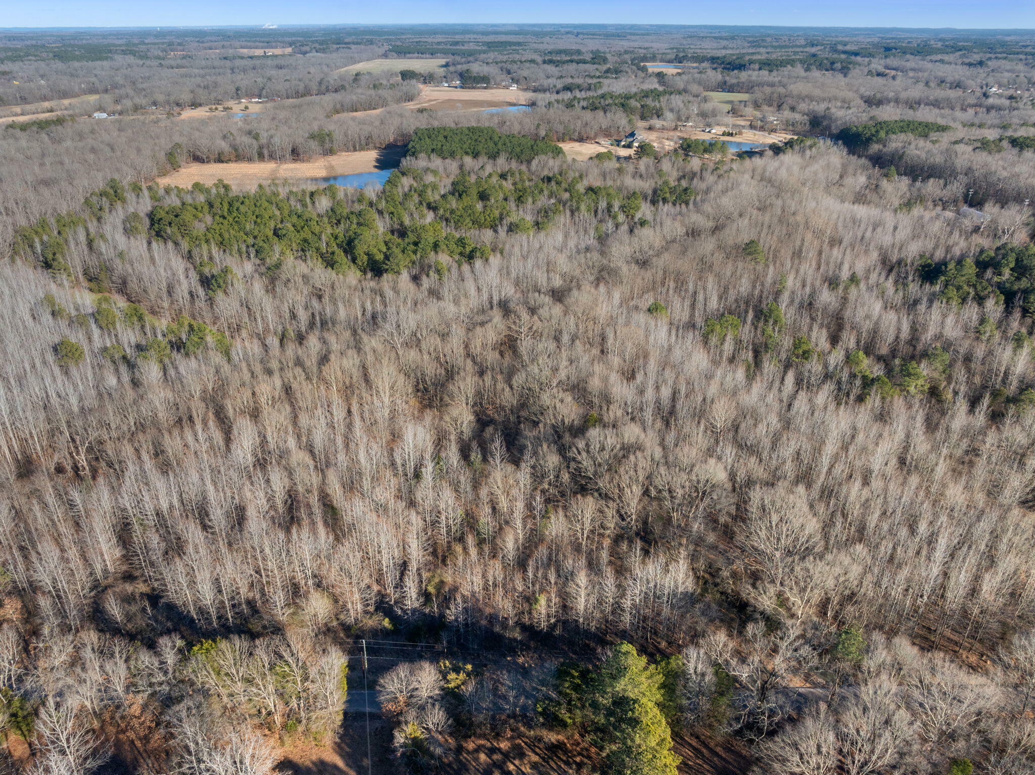 Property Photo:  Lot 1 0 John George Loop  TN 38357 