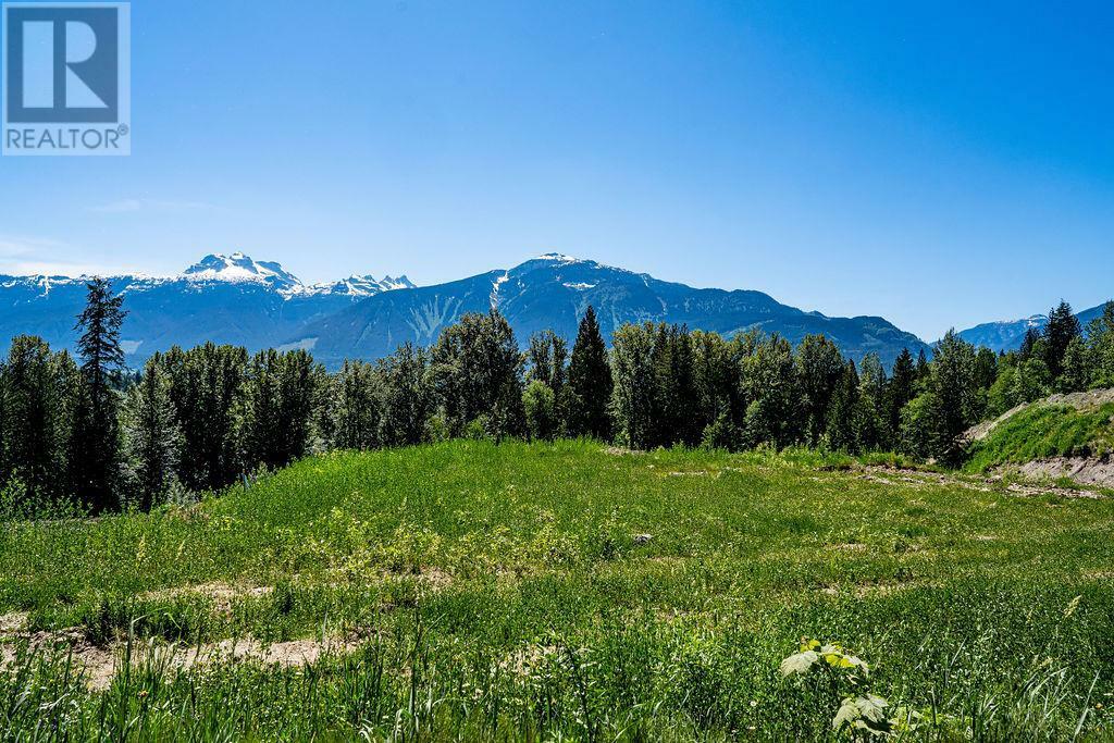 1 Proposed Lot #1 150 Townley Street  Revelstoke BC V0E 2S0 photo