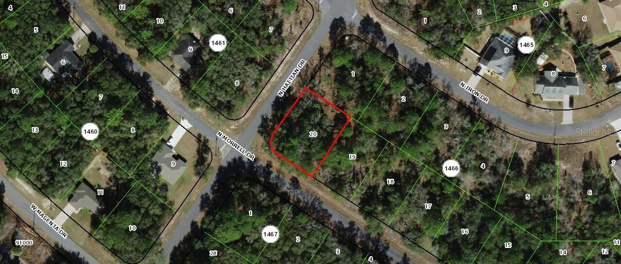Property Photo:  11009 N Morrell Drive  FL 34434 