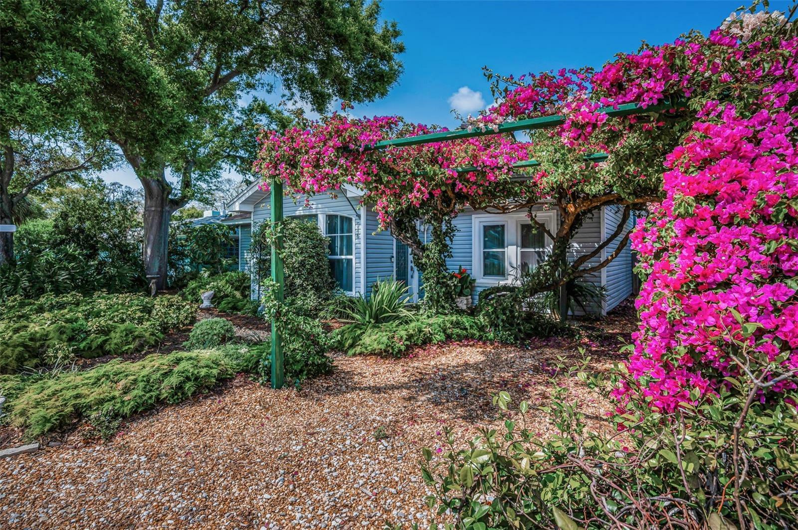 Property Photo: 546 Orangewood Drive FL 34698