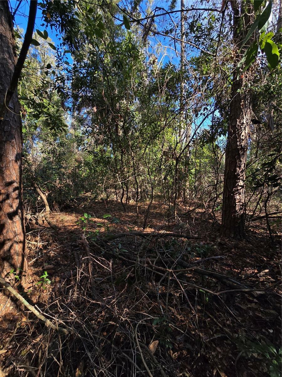 Property Photo:  Tbd SW Alabama Glen  FL 32038 