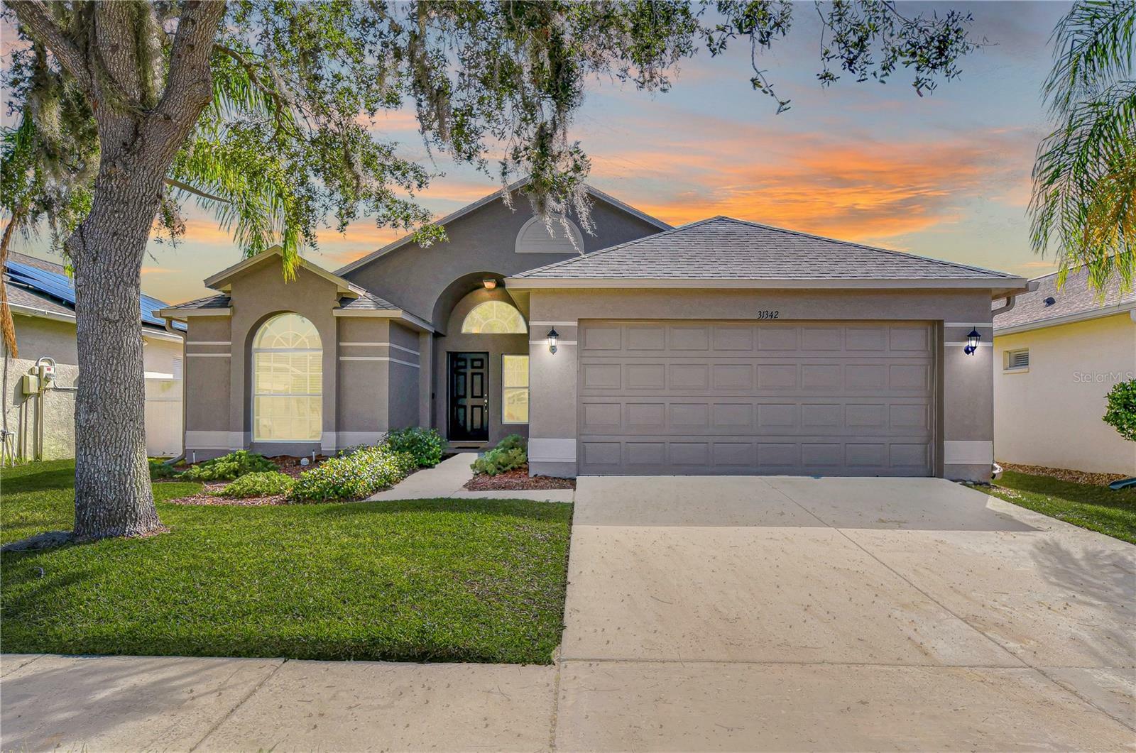 31342 Philmar Lane  Wesley Chapel FL 33543 photo