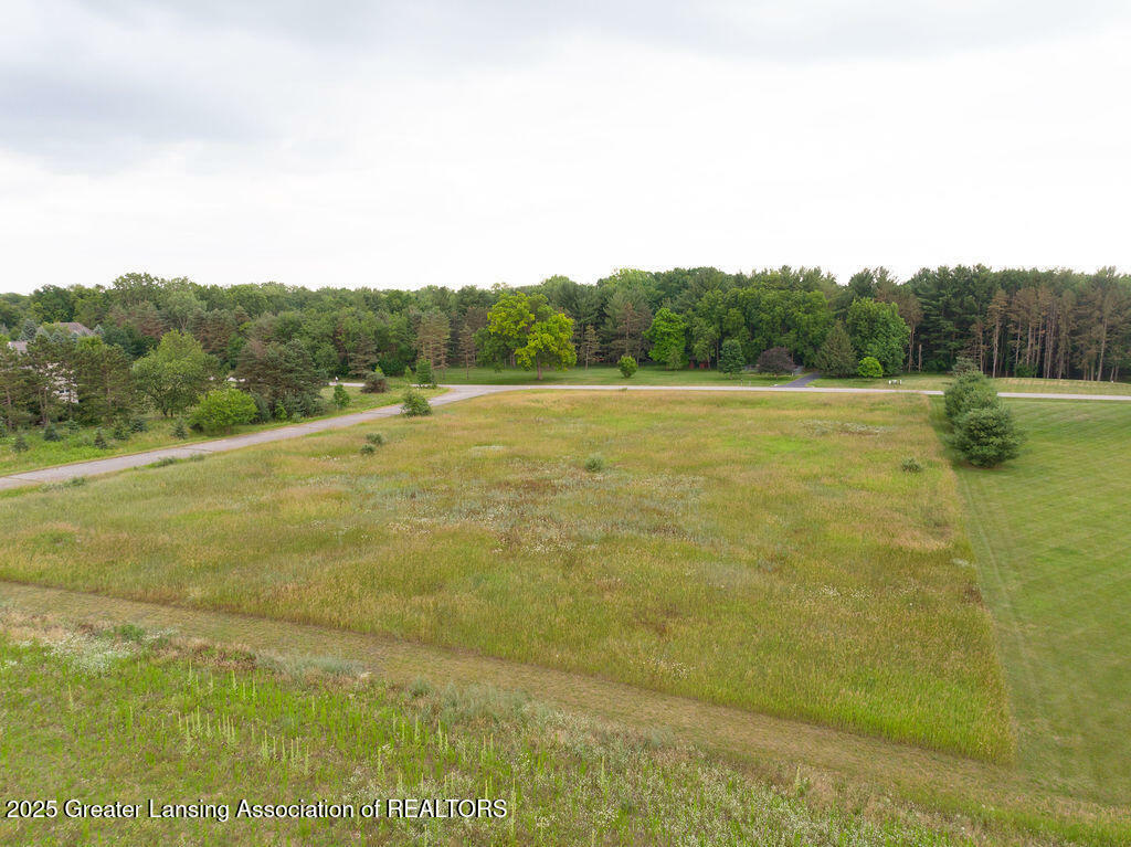 Property Photo:  1035 Cherry Valle Lane  MI 48895 