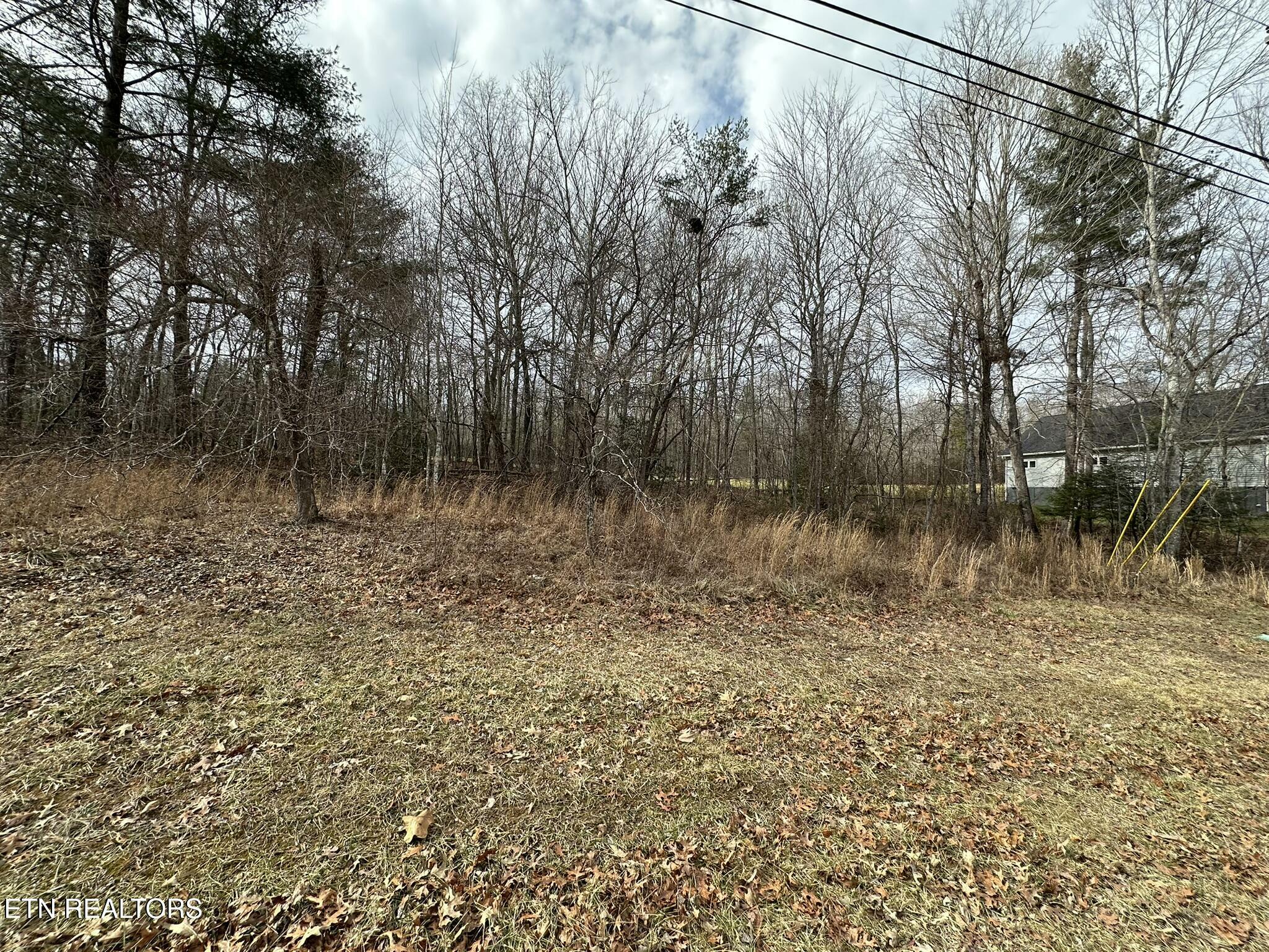 Property Photo:  680 Westchester Drive  TN 38558 