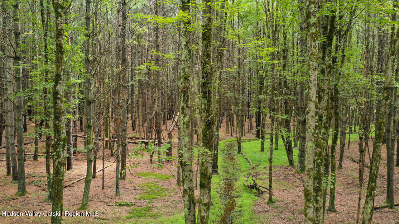 Property Photo: 00 John Joy Road Lot 2 NY 12498