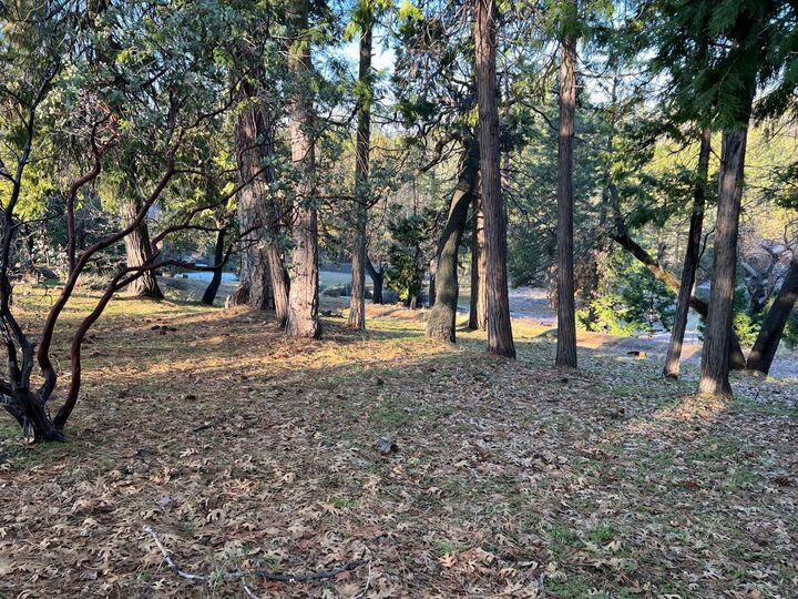 Property Photo:  1238 Canyon Ridge Court  CA 95247 