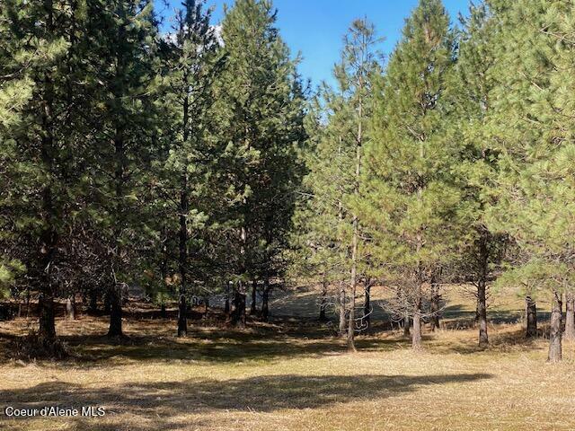 Property Photo:  Nka Frosty Pine Trail  ID 83814 