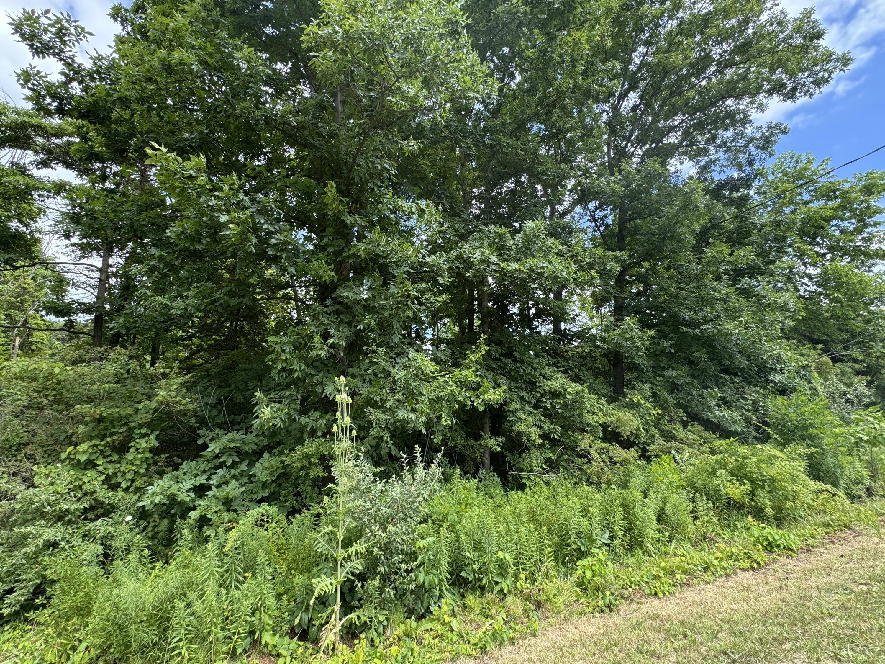 119th Avenue  Fennville MI 49408 photo