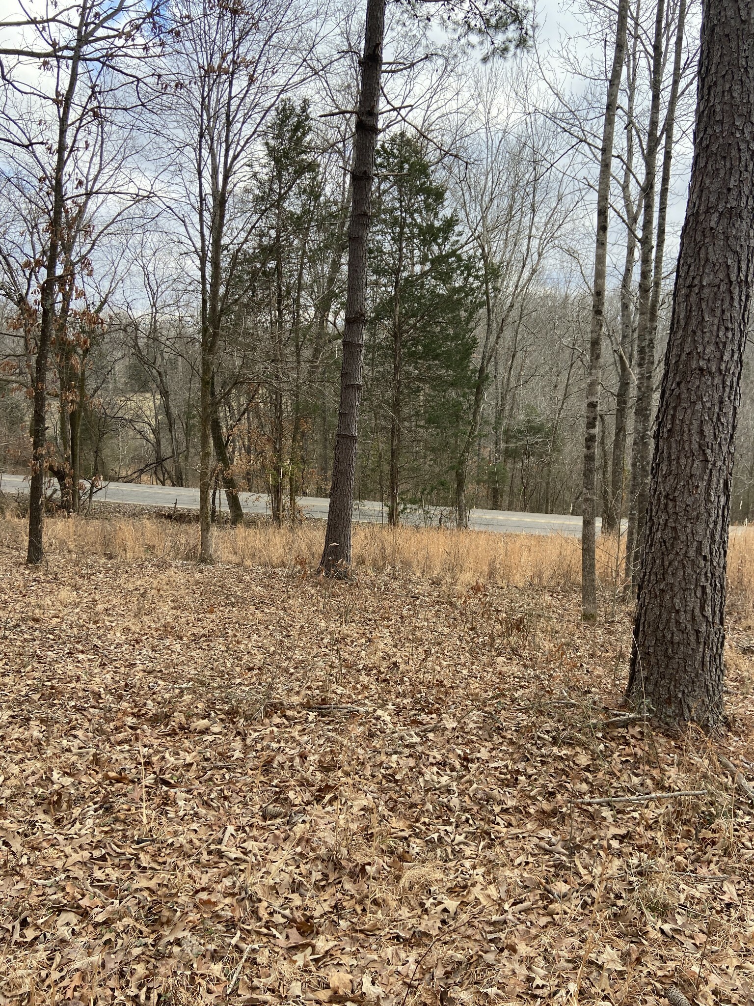 0 New Road  Clarksville TN 37040 photo