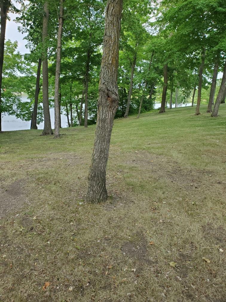 Property Photo:  50943 Fish Lake Road  MN 56501 