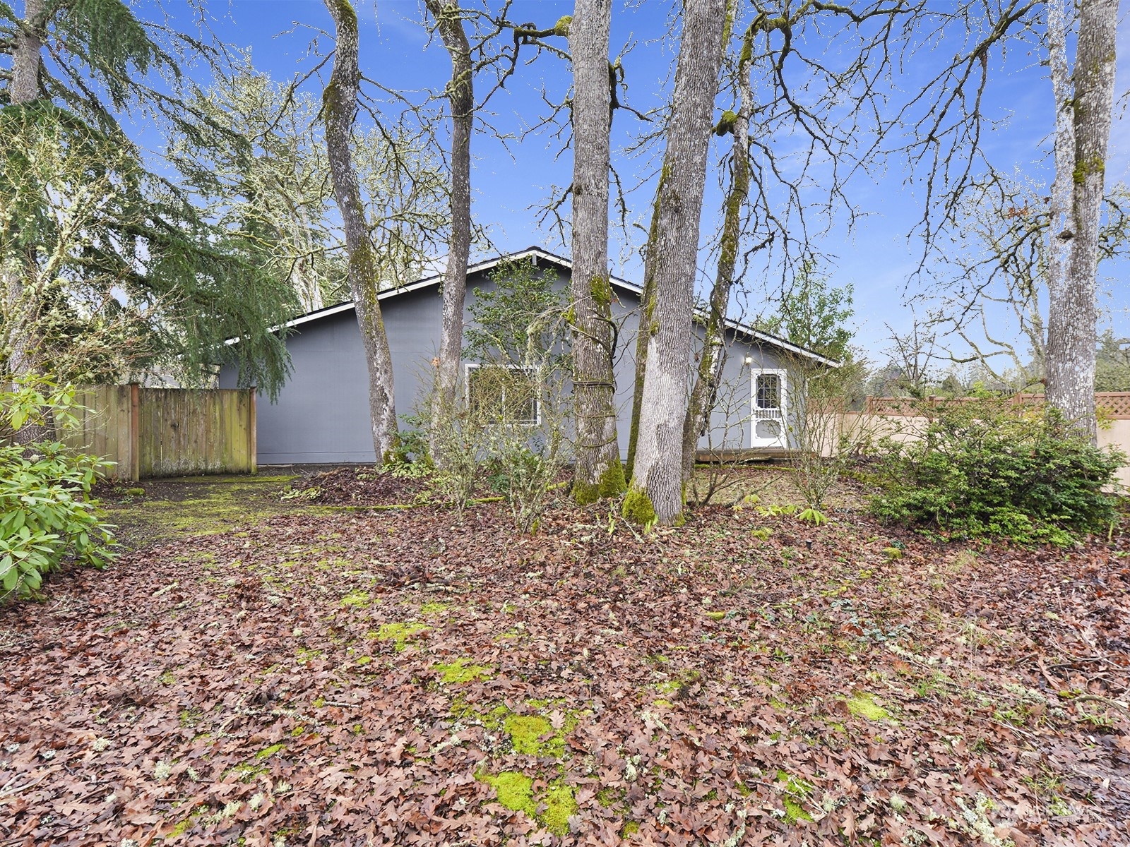 Property Photo:  8208  Sapphire Drive SW  WA 98498 