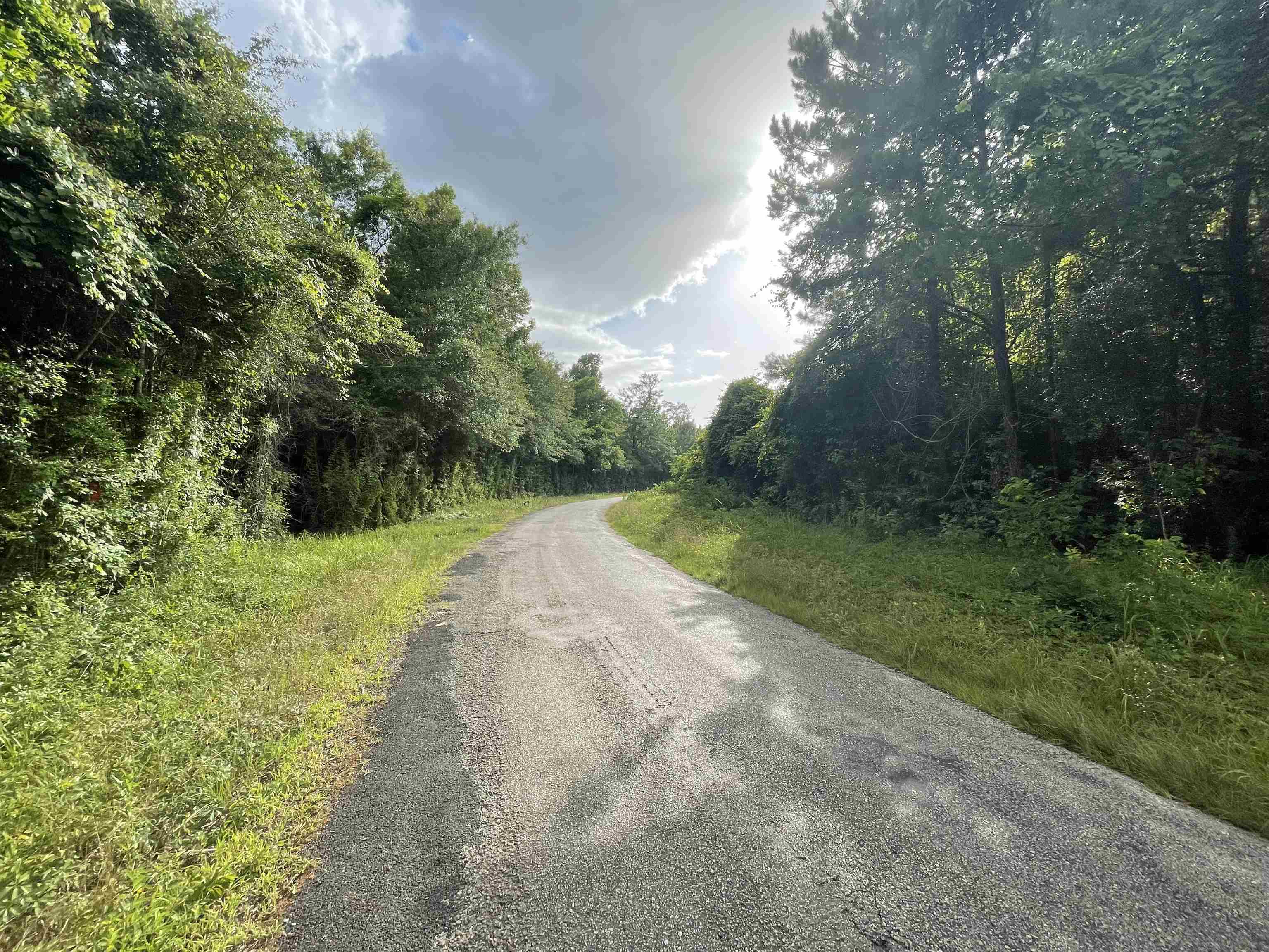 Property Photo:  Tract 3 County Road 786  TX 77612 