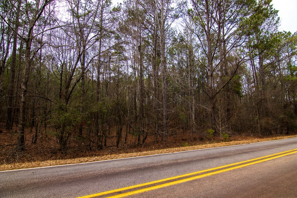 Property Photo:  0 Flat Shoals Church Road  GA 31822 