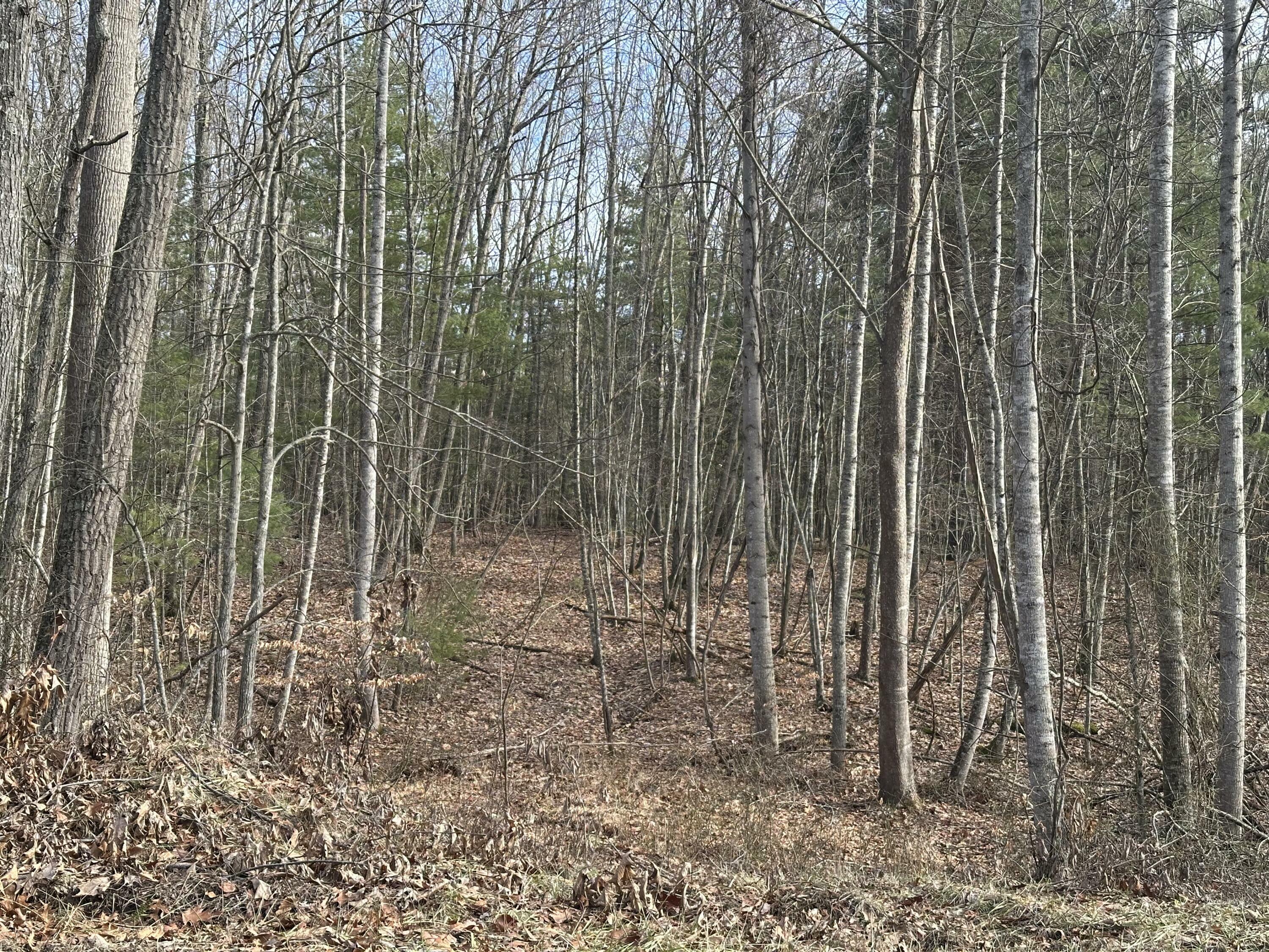 Property Photo:  Lot 2 Rt. 1 Muddy Creek Mountain  WV 24910 