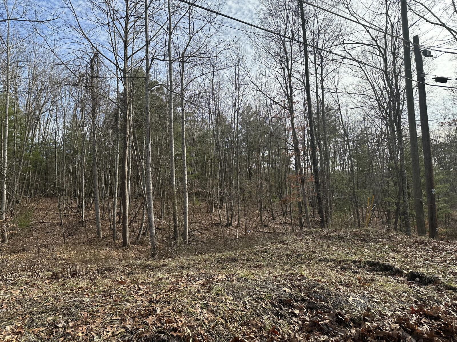 Property Photo:  Lot 1 & 2 Rt. 1, Muddy Creek Mountain   24910 