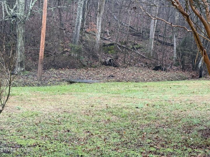 117 Old Buck Creek Rd  Kingston TN 37763 photo