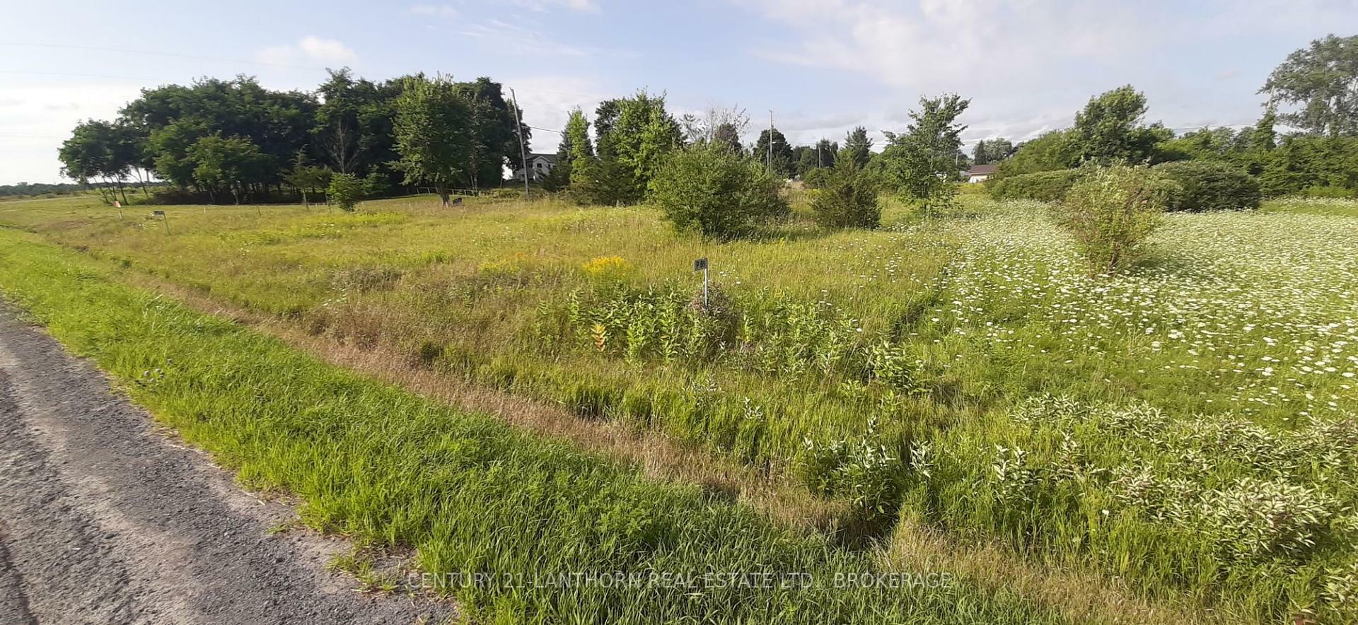 89 South Shore Rd S  Greater Napanee ON K7R 3K7 photo