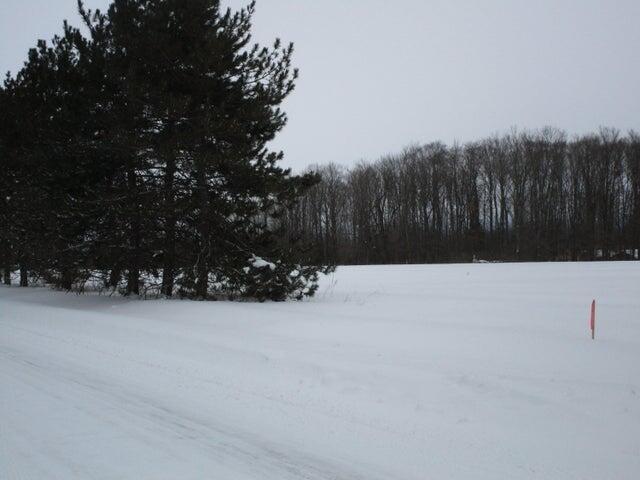 Property Photo: McMichael Road MI 49706
