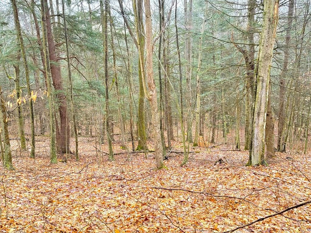 0 Sugar Hill Road  Beaver Dams NY 14812 photo