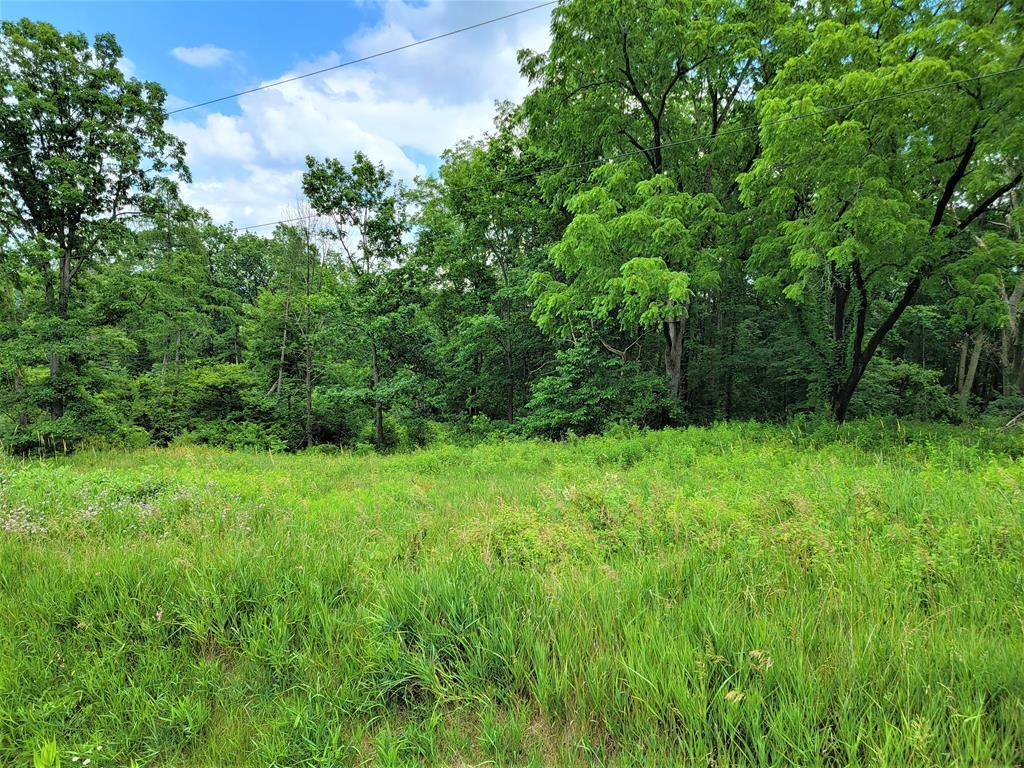 0 Cronk Road  Montour NY 14865 photo