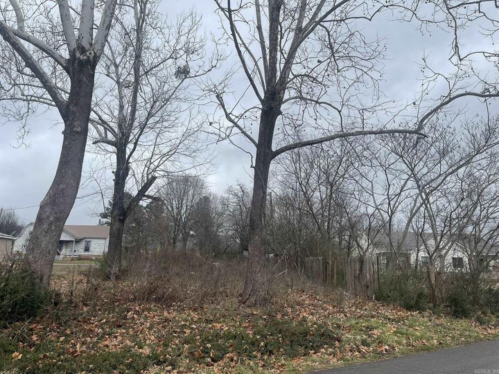 Property Photo: 906 Elm Avenue AR 71953