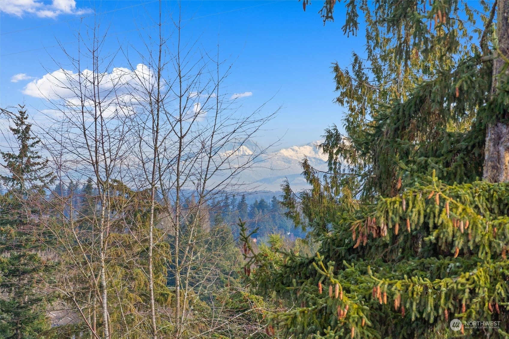 Property Photo:  1261 NE 100th Street  WA 98115 